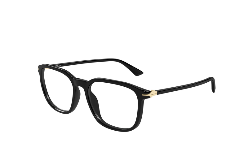 Mont Blanc Frame MB0438O