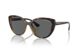Armani Exchange Sunglasses AX4111SU