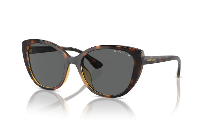Armani Exchange Sunglasses AX4111SU