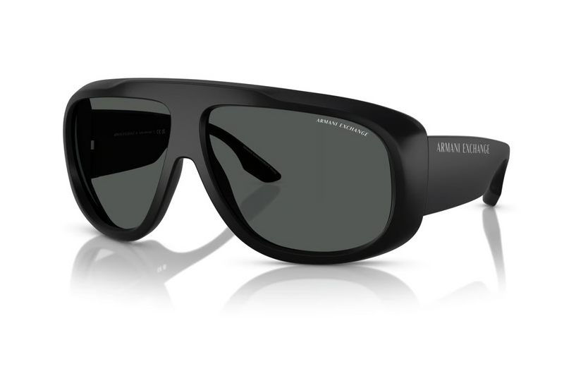 Armani Exchange Sunglasses AX4143SU