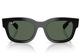 Ray-Ban Sunglass RB2228M (Pre_Booking)