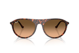Ray-Ban Sunglass RB2215 (Pre_Booking)