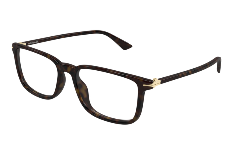 Mont Blanc Frame MB0437O