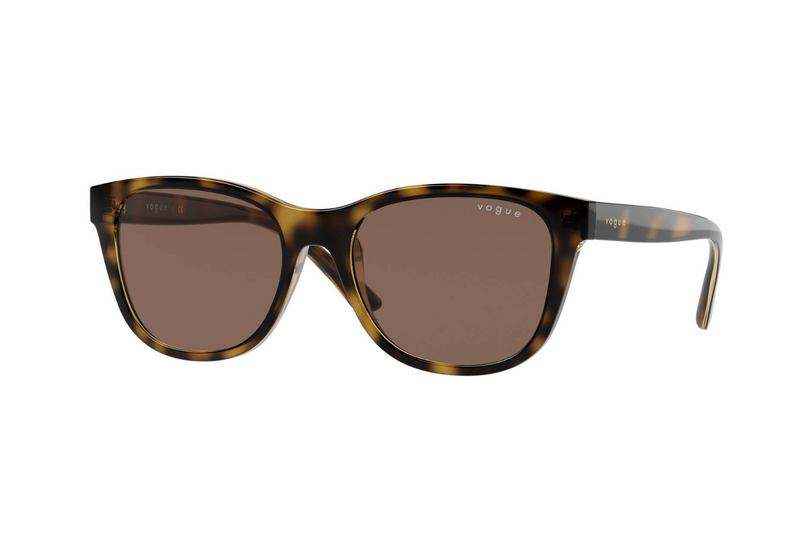 Vogue Sunglass VJ2010
