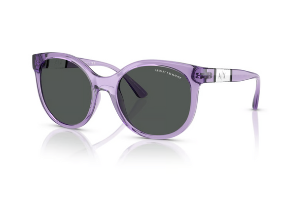 Armani Exchange Sunglasses AX4120S
