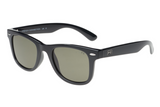 French Connection Sunglasses FC7685