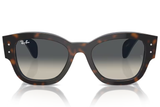Ray-Ban Sunglass RB7681S (Pre_Booking)