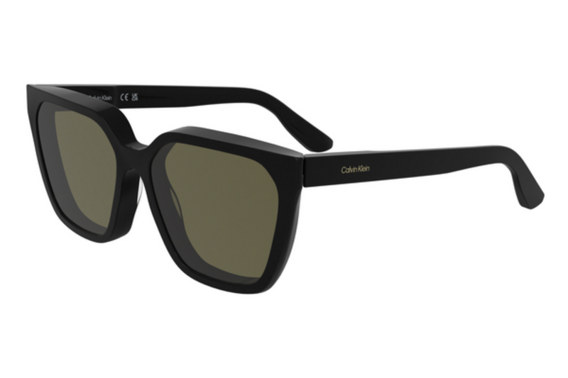 Calvin Klein Sunglasses CK25500