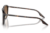 Ray-Ban Sunglass RB2203 (Pre_Booking)