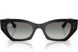 Ray-Ban Sunglass RB4430 (Pre_Booking)