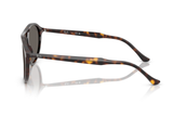 Ray-Ban Sunglass RB2215 (Pre_Booking)