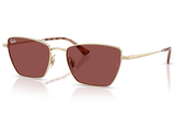 Ray-Ban Sunglass RB3783 (Pre_Booking)