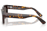 Ray-Ban Sunglass RB7683S (Pre_Booking)