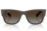 Ray-Ban Sunglass RB4840S (Pre_Booking)