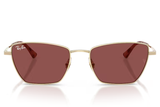 Ray-Ban Sunglass RB3783 (Pre_Booking)