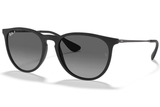 RAY-BAN Sunglasses RB4171