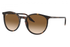 Ray-Ban Sunglass RB2204 (Pre_Booking)