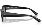 Ray-Ban Sunglass RB4430 (Pre_Booking)