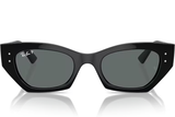 Ray-Ban Sunglass RB4430 (Pre_Booking)