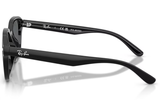 Ray-Ban Sunglass RB4458D (Pre_Booking)