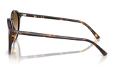 Ray-Ban Sunglass RB2230 (Pre_Booking)