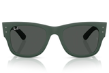 Ray-Ban Sunglass RB4840S (Pre_Booking)