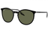 Ray-Ban Sunglass RB2204 (Pre_Booking)