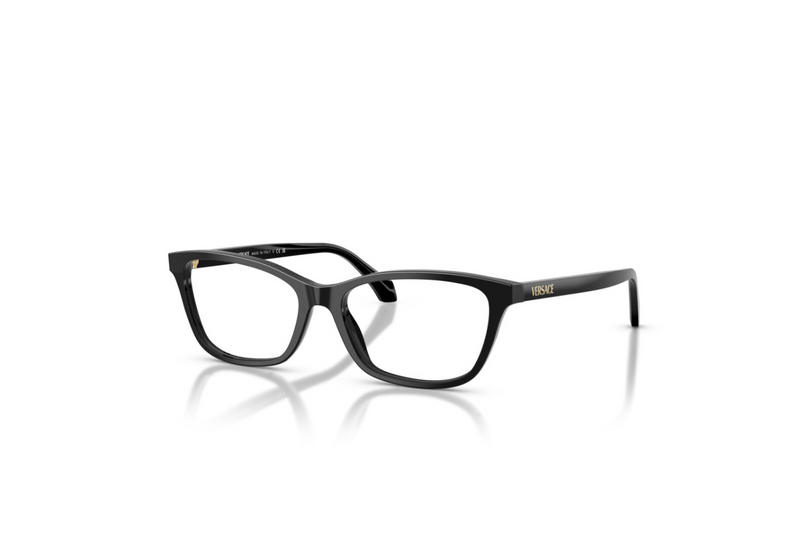 Versace Frame VE3375