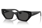 Ray-Ban Sunglass RB4430 (Pre_Booking)