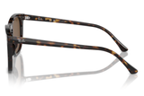 Ray-Ban Sunglass RB2210 (Pre_Booking)