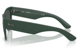 Ray-Ban Sunglass RB4840S (Pre_Booking)