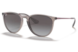RAY-BAN Sunglasses RB4171