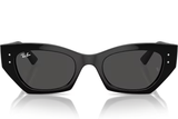 Ray-Ban Sunglass RB4430 (Pre_Booking)
