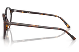 Ray-Ban Sunglass RB2230 (Pre_Booking)