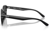 Ray-Ban Sunglass RB4458D (Pre_Booking)