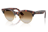 Ray-Ban Sunglass RB2341 (Pre_Booking)