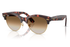 Ray-Ban Sunglass RB2341 (Pre_Booking)