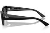 Ray-Ban Sunglass RB4430 (Pre_Booking)