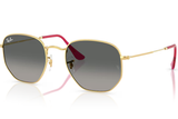 Ray-Ban Sunglass RB3548N (Pre_Booking)