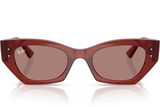 Ray-Ban Sunglass RB4430 (Pre_Booking)