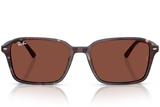 Ray-Ban Sunglass RB2231 (Pre_Booking)