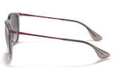 RAY-BAN Sunglasses RB4171