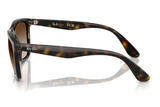 Ray-Ban Sunglass RB4442I (Pre_Booking)