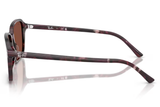 Ray-Ban Sunglass RB2231 (Pre_Booking)