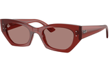 Ray-Ban Sunglass RB4430 (Pre_Booking)