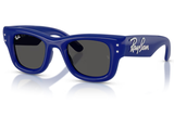 Ray-Ban Sunglass RB4940B (Pre_Booking)