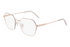 DKNY Frame 1033