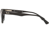 Ray-Ban Sunglass RB4140 (Pre_Booking)