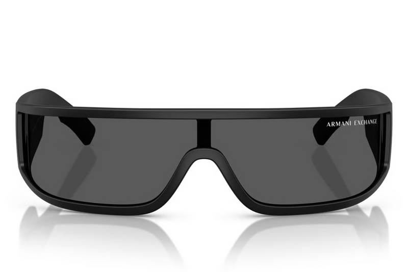 Armani Exchange Sunglasses AX4153SU