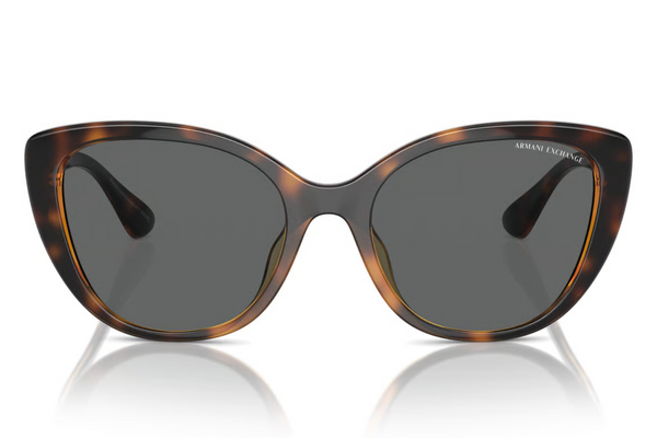 Armani Exchange Sunglasses AX4111SU